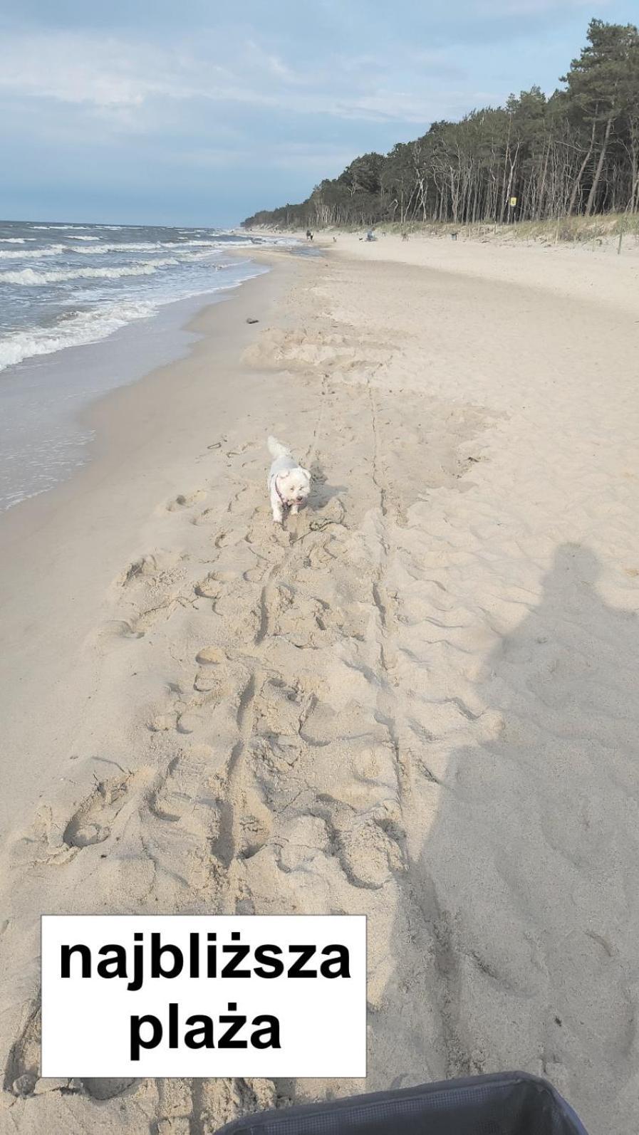 Willa Wieniotowo Apartamenty Przy Lesie I Plazy Ap Am Wald Und Strand Ustronie Morskie Luaran gambar